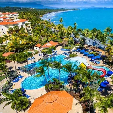 image-presentation-header-pre-card